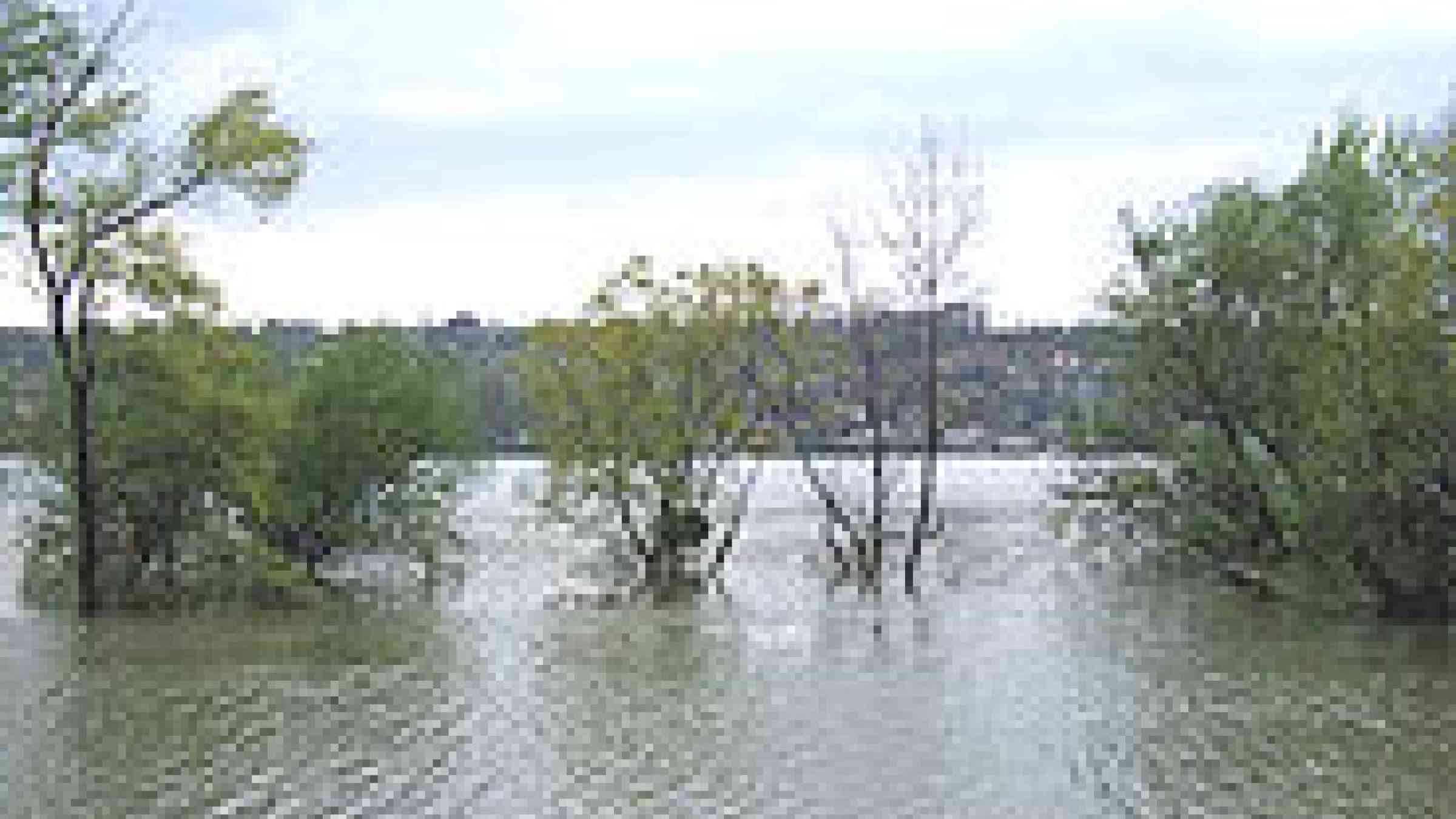Photo of the flooded banks of the Danube by Flickr user, The Objective Voice of Truth, Creative Commons Attribution-NonCommercial-ShareAlike 2.0 Generic (CC BY-NC-SA 2.0)