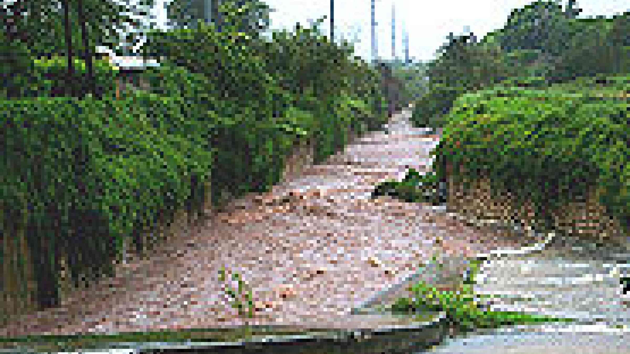 Photo of floods in Jamaica by Flickr user, Chrysaora, Creative Commons Attribution 2.0 Generic (CC BY 2.0)