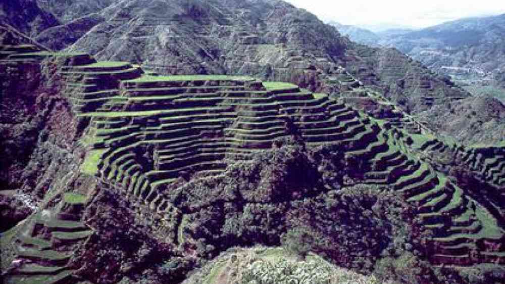 Banaue rice terraces in the Philippines.
