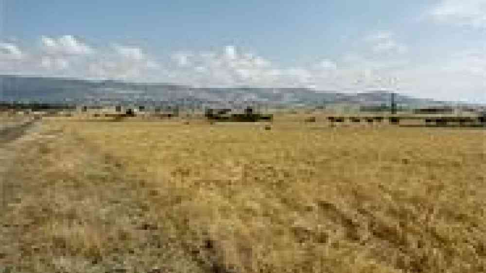 Photo by likeablerodent CC BY-SA 2.0 http://www.flickr.com/photos/ilri/5265327379