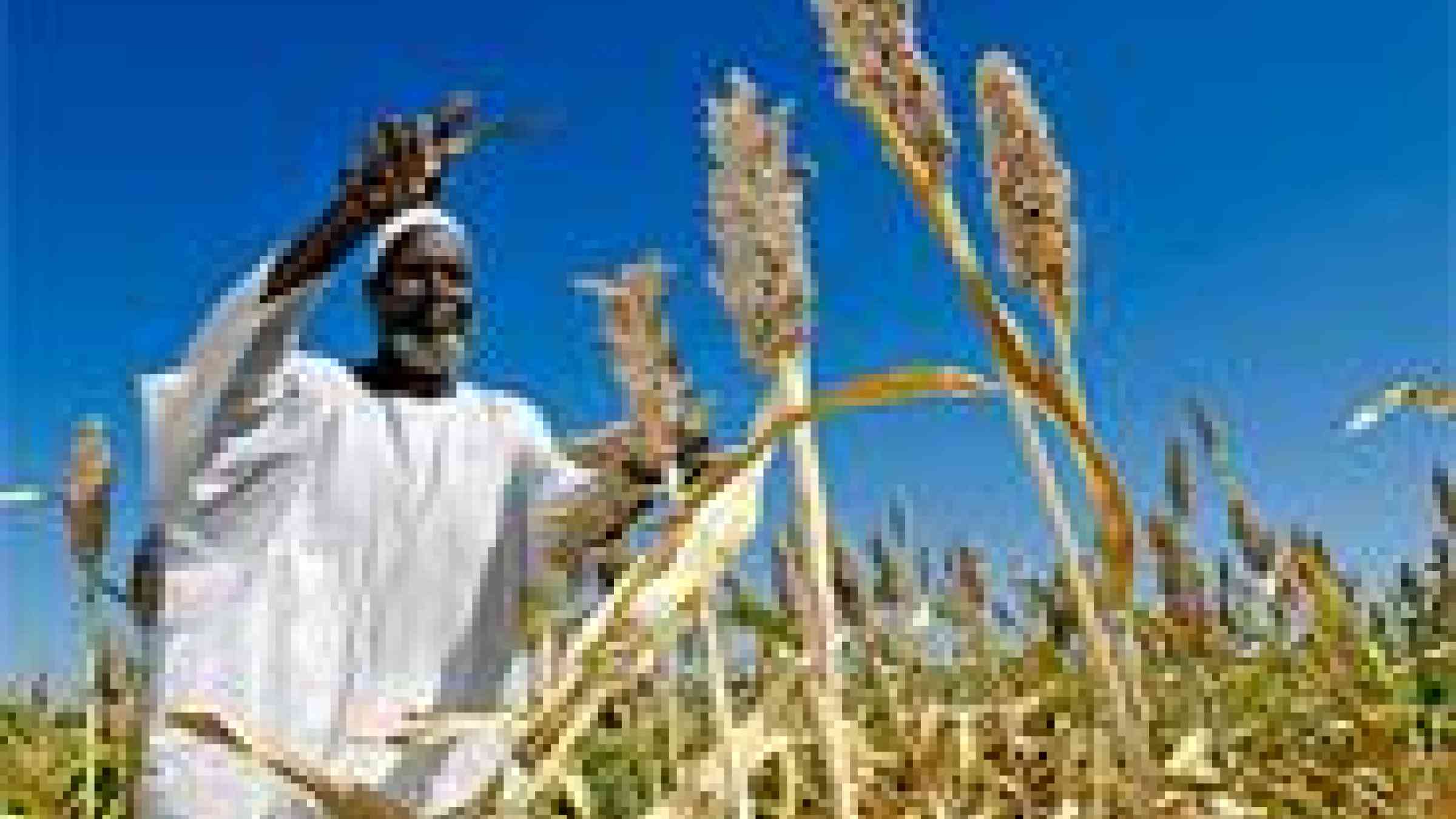 Photo by  © Africa Renewal CC BY-NC-SA 2.0 http://www.flickr.com/photos/africa-renewal/5758970864
