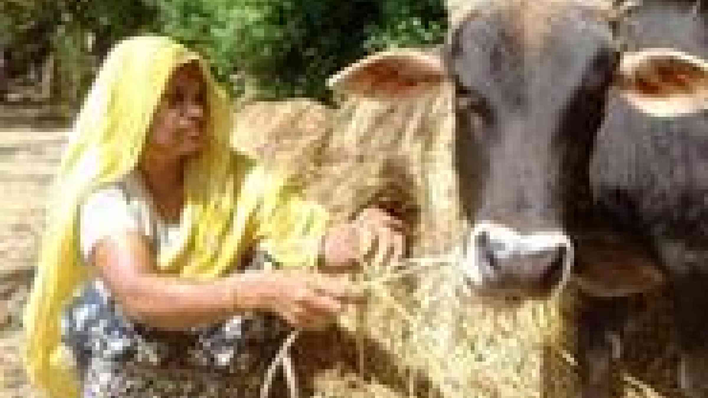 David Swanson/Irin http://www.irinnews.org/Report/96555/BANGLADESH-Cyclone-shelters-for-livestock-too