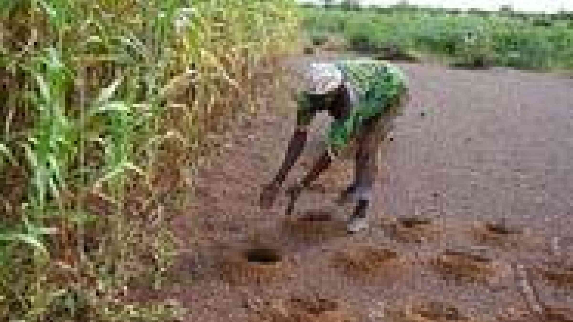 by CGIAR CC BY-NC-SA 2.0 http://www.flickr.com/photos/cgiarclimate/8057688673