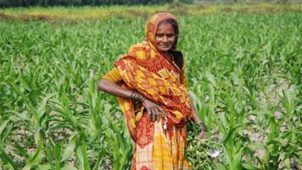 by CIMMYT CC BY-NC-SA 2.0 https://www.flickr.com/photos/cimmyt/8048370119