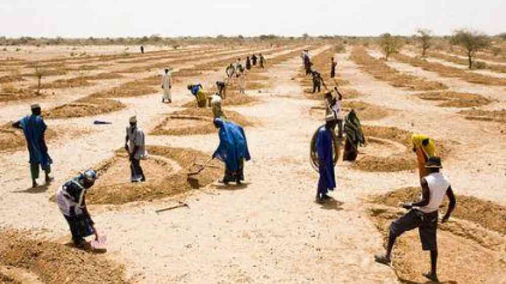 Projects such as these rain water collection basins in Niger play a significant role in reducing the risk of disasters in a region hit frequently by drought (Photo: Flickr)