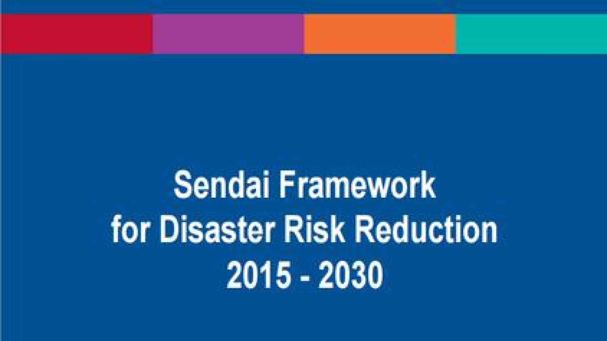 The Words into Action process will energize implementation of the Sendai Framework (Photo: UNISDR)