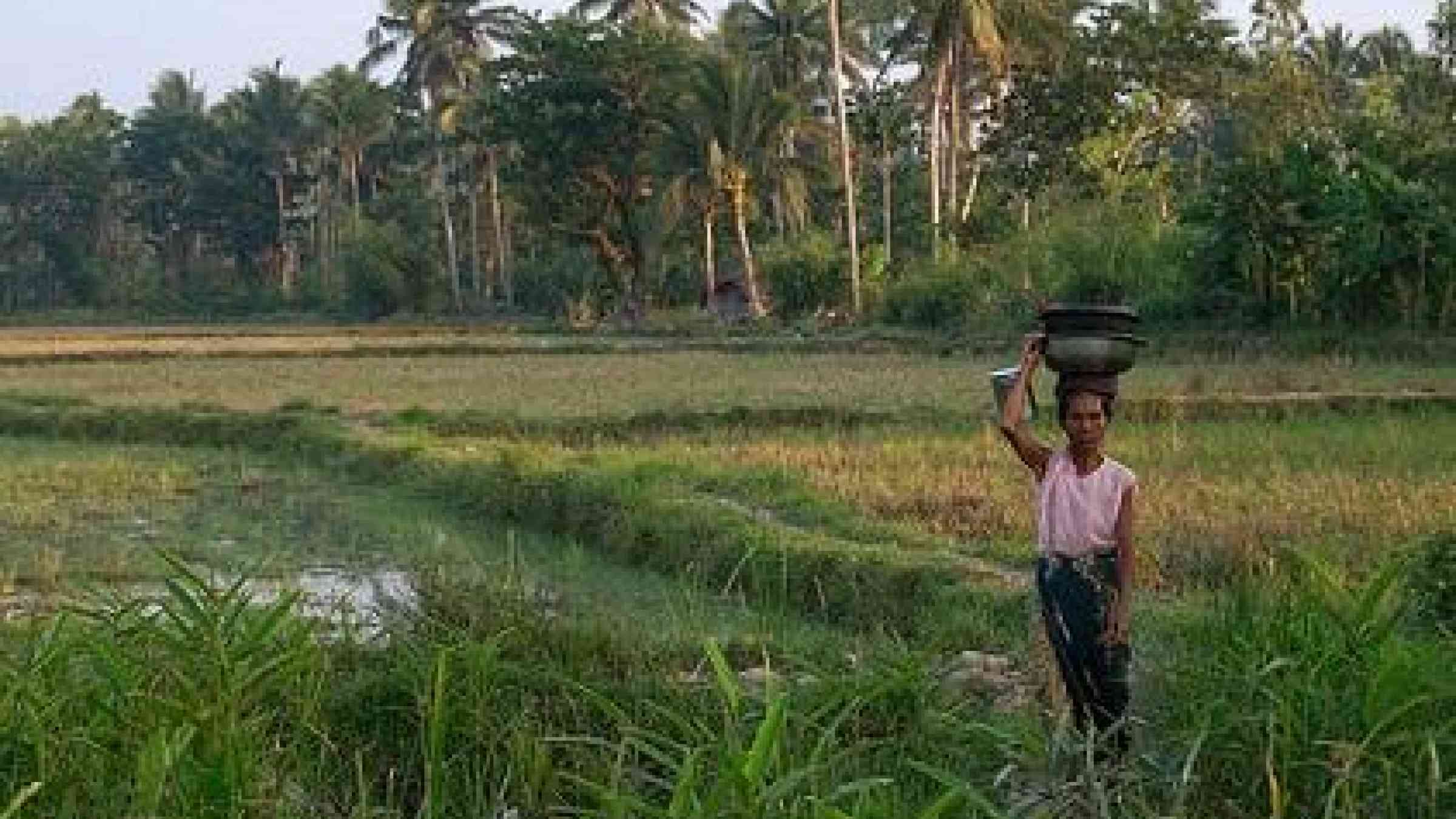 Many farmers have struggled to bounce back after the devastating Cyclone Nargis in 2008 (Photo: Foreign and Commonwealth Office)