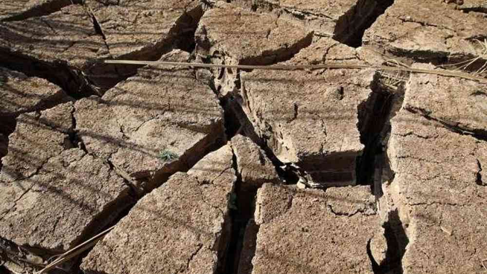 Parched earth in Tahoua Province, Niger. UN Photo/WFP/Phil Behan