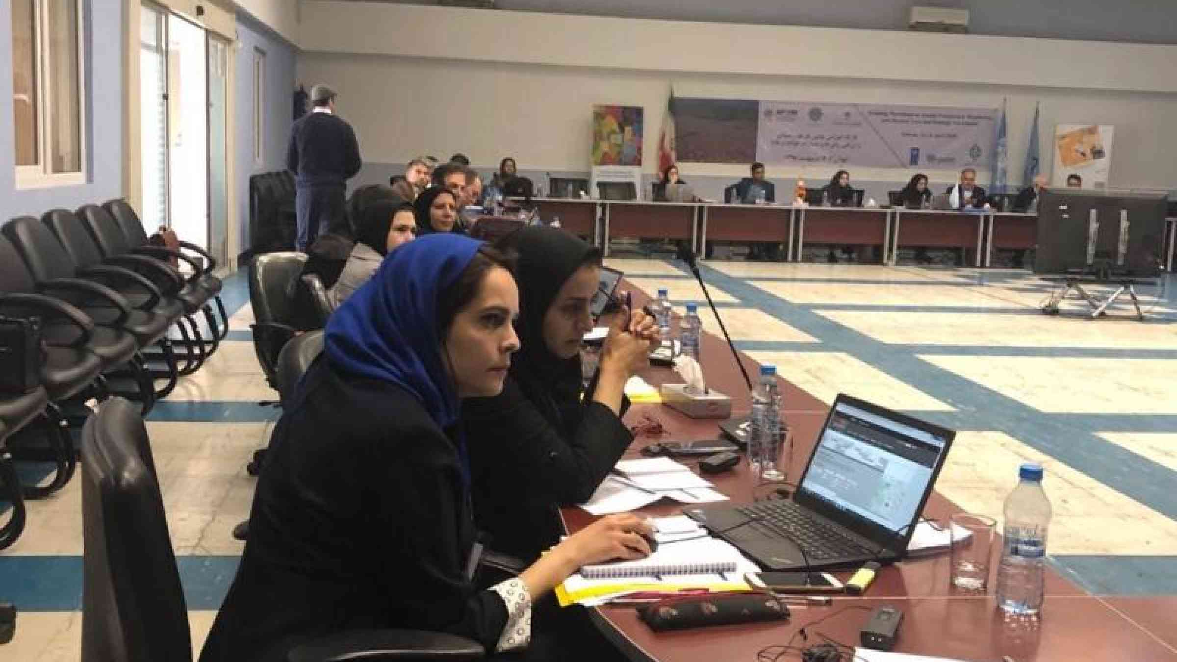 The training workshop in Tehran brought together participants from central and local government, UN, humanitarian organizations, academia and the media (c) UNDRR