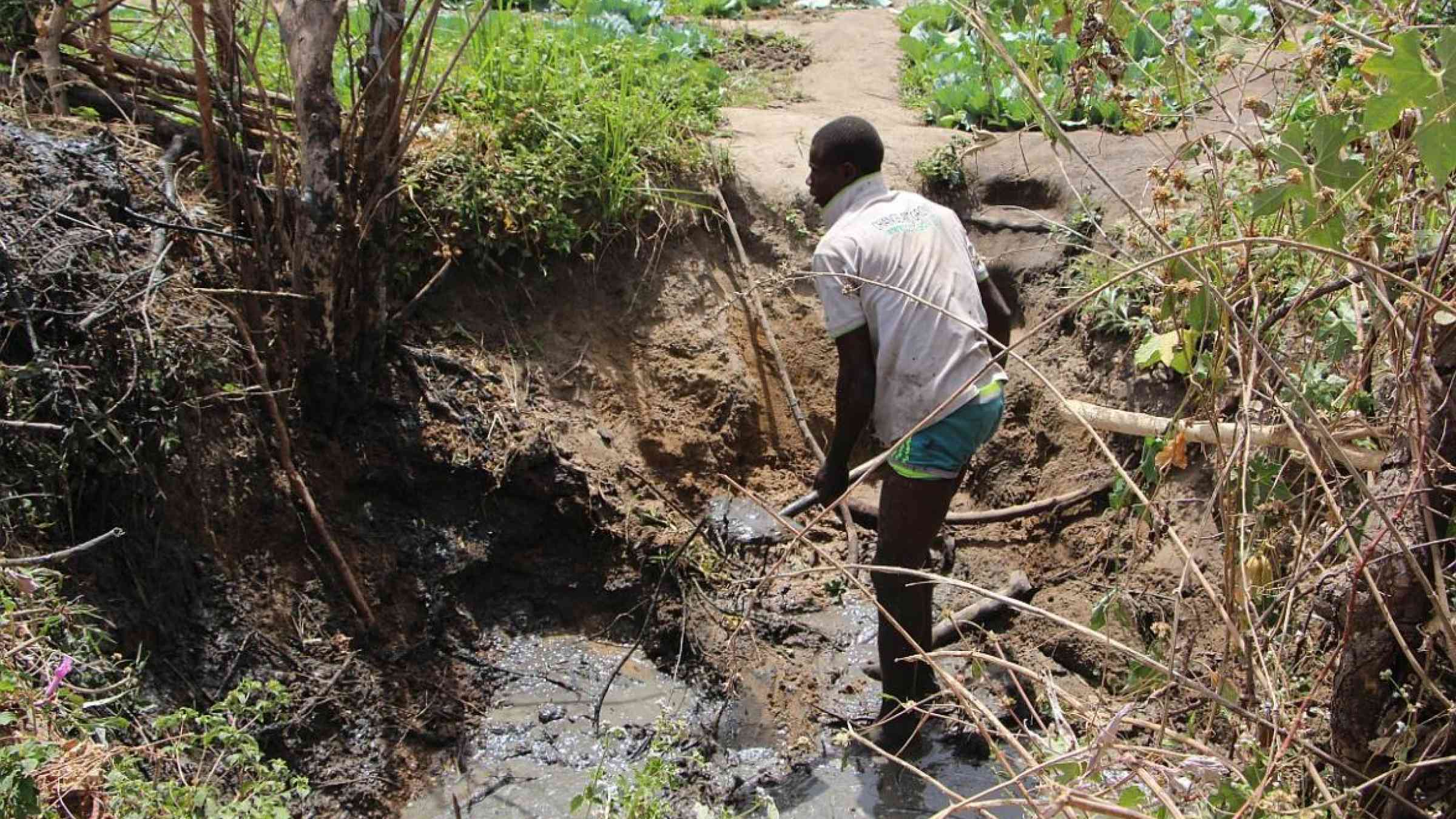 Fatawu Danyarigi desilting a dugout in Loggu. Photo: IWMI