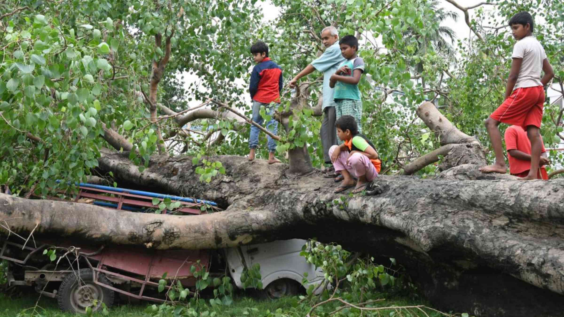 Impact of Cyclone Amphan in West Bengal, India, May 2020. Sanjoy Karmakar/Shutterstock