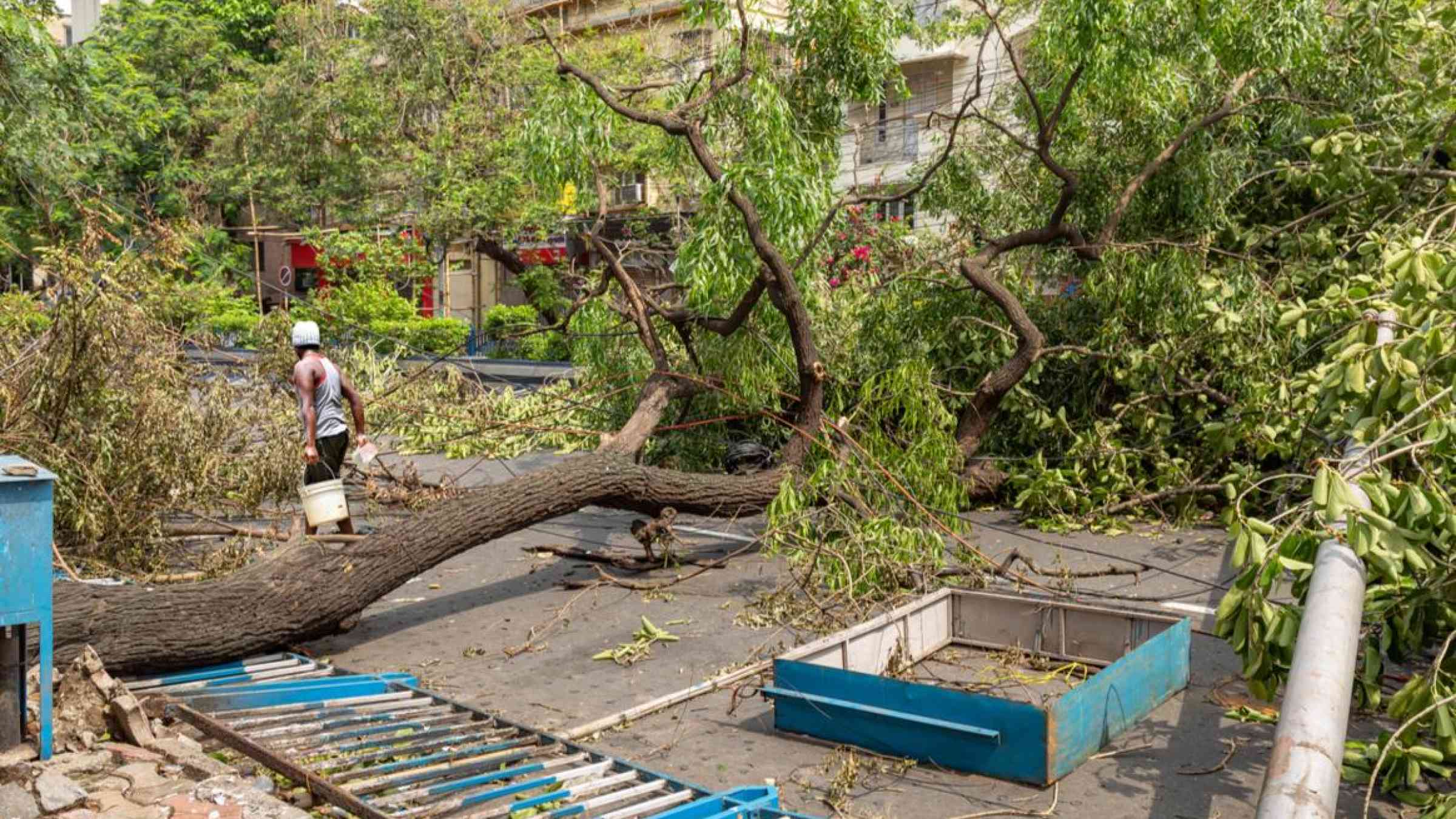 Impact of Cyclone Amphan in Kolkata, India (2020). Roop_Dey/Shutterstock