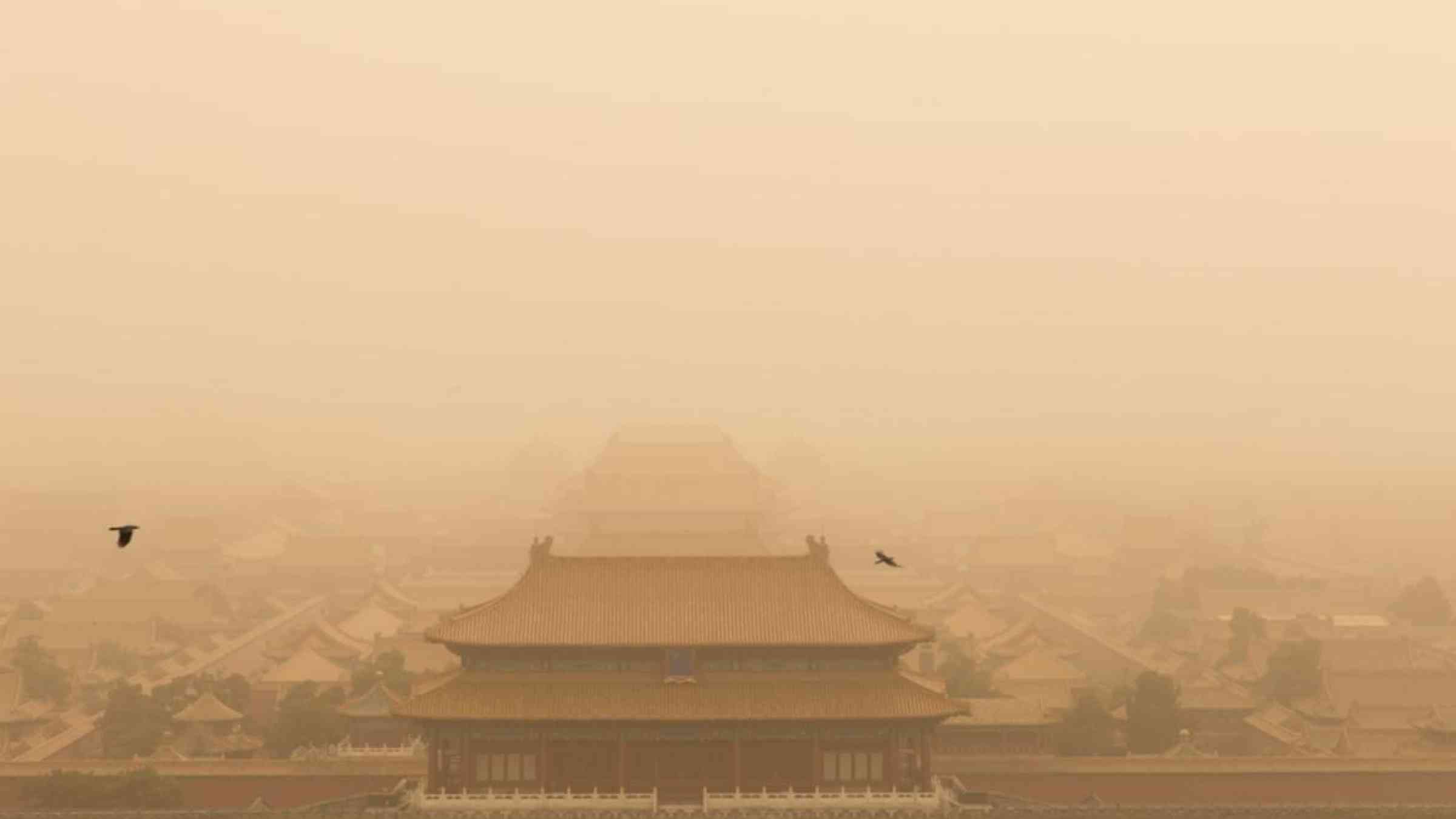 Zhang BinSir/Shutterstock