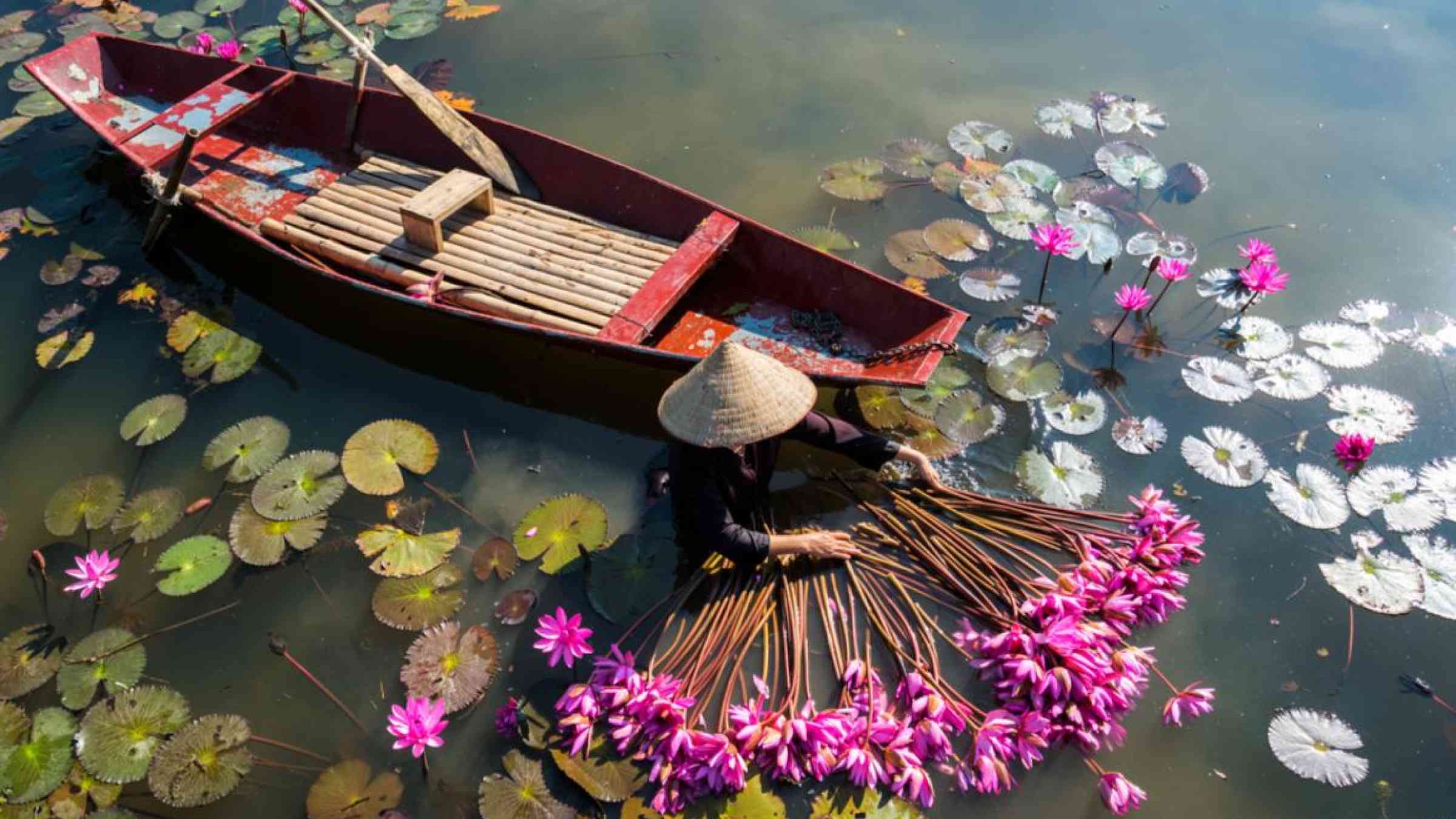 Vietnam Stock Images/Shutterstock