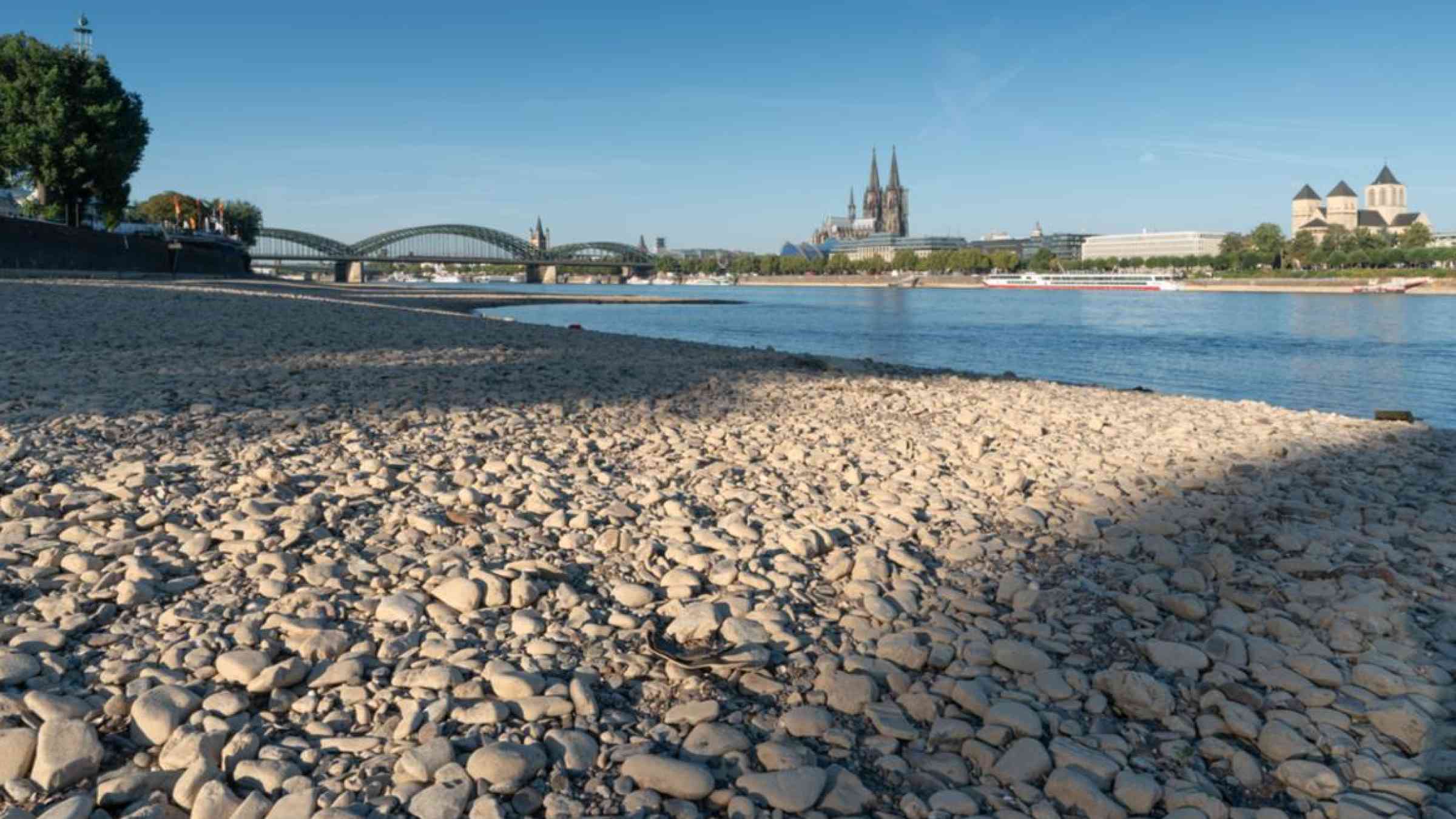 Drought impacts in Cologne, Germany (2018). alfotokunst/Shutterstock
