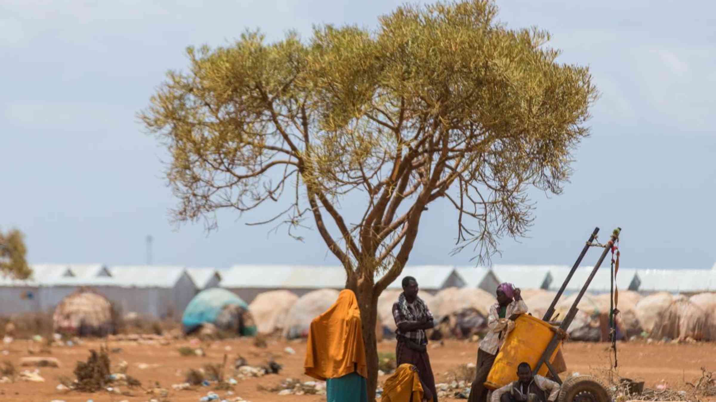 People who carry water rest under a tree in a refugee camp, Baidoa, Somalia. Amors photos/Shutterstock