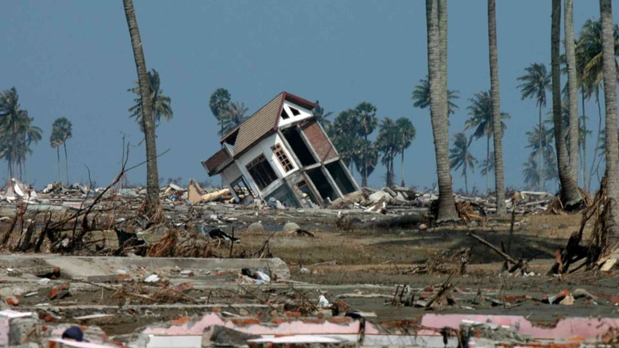 case study on 2004 tsunami