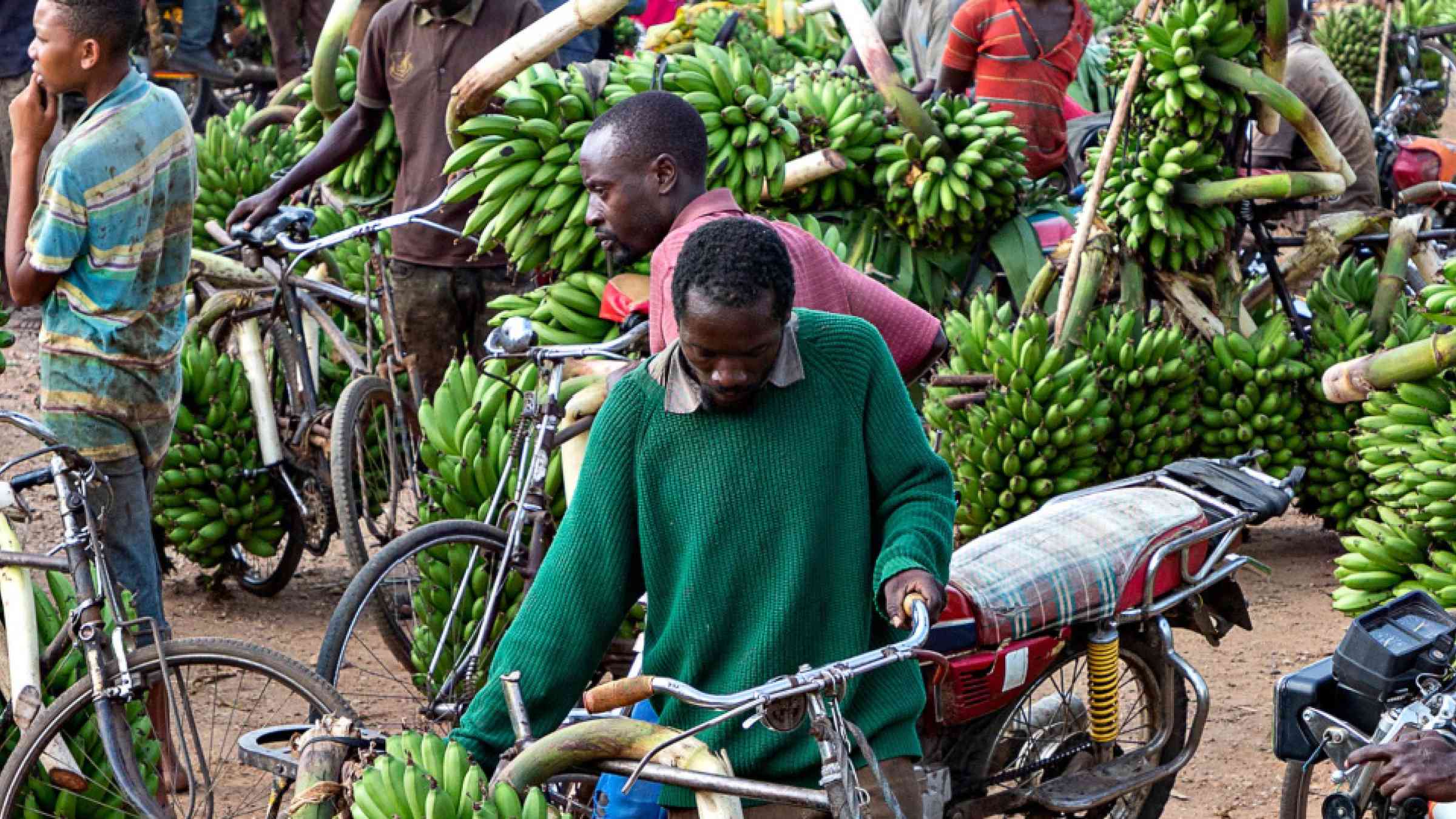 agricultural-resilience-in-uganda-with-premium-support-from-isf