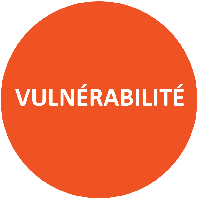 Vulnérabilité
