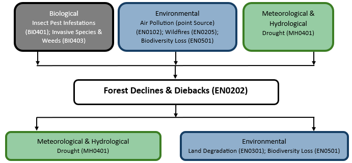 Hazard diagram for forest declines & diebacks