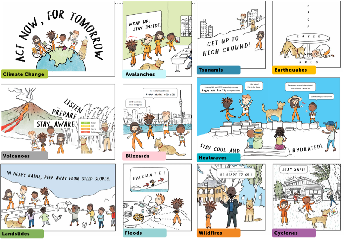 COPE Disaster Champions key messages