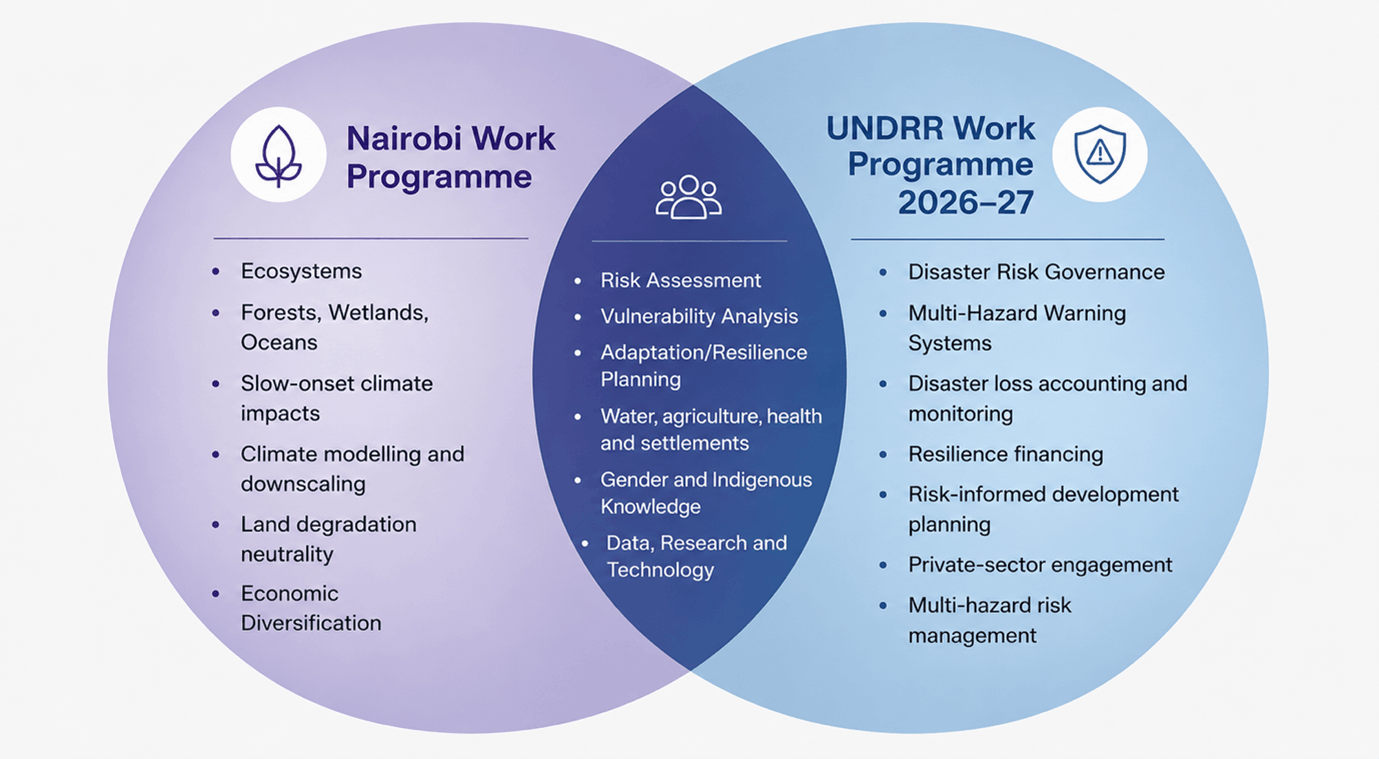 Overlap between the Nairobi Work Programme and the UNDRR Work Programme 2026–2027