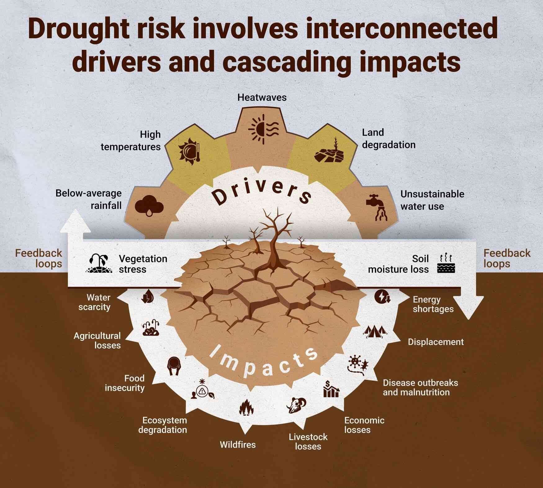 Drought cascading risk infographic