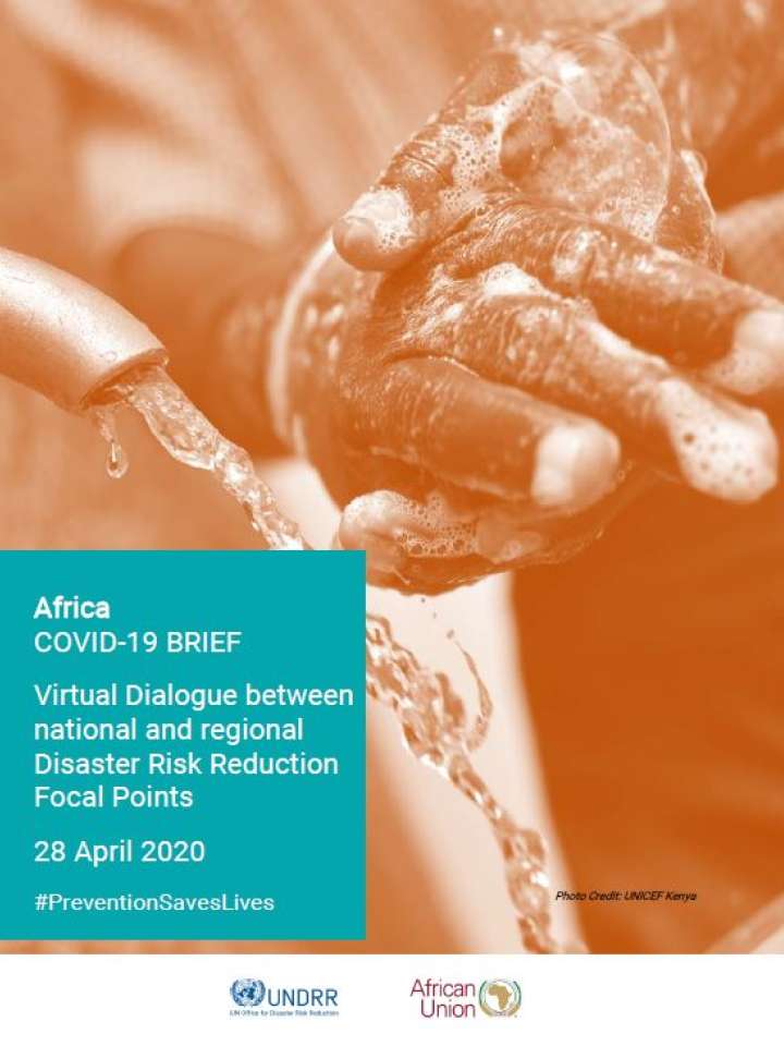 Africa DRR focal point virtual dialogue 