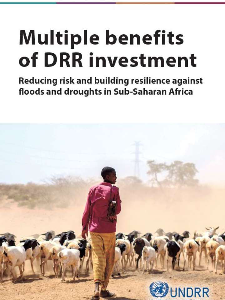 Multiple Benefits of DRR cover page