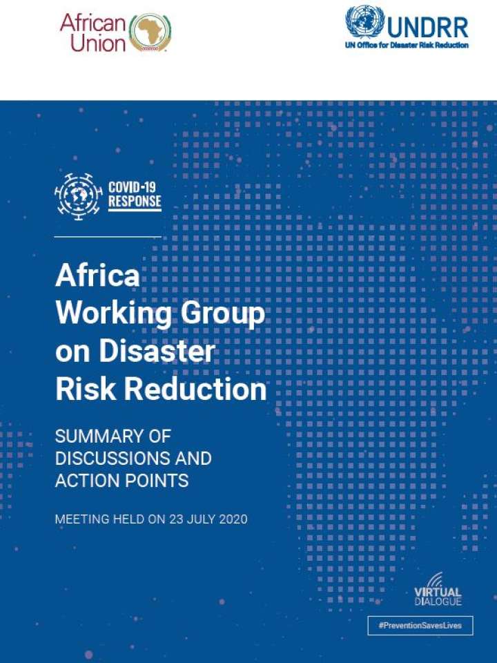 1st Virtual African Working Group on DRR