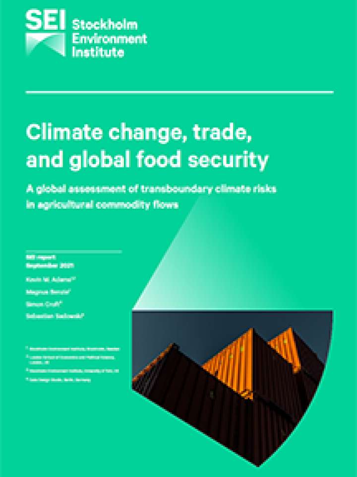Climate change, trade, and global food security