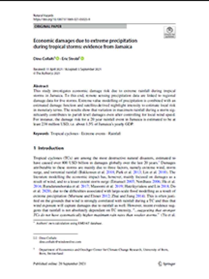 Economic damages due to extreme precipitation during tropical storms: evidence from Jamaica