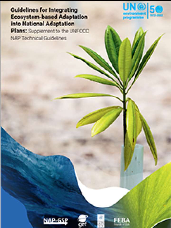 Guidelines for integrating ccosystem-based adaptation into national adaptation plans