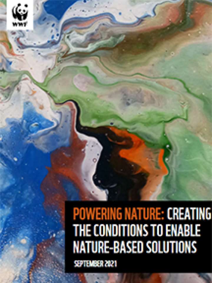 Powering Nature-Creating the conditions to enable nature-based solutions