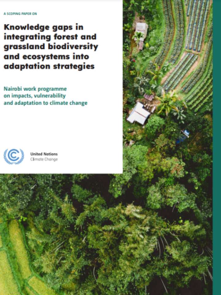 Cover and title of publication