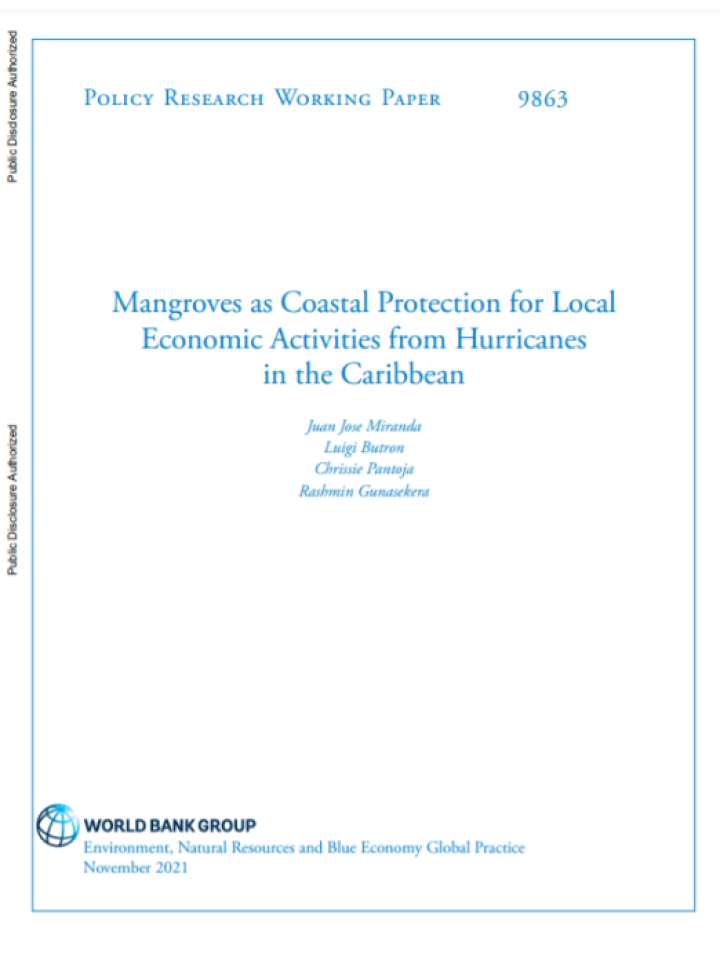 Cover and title of publication