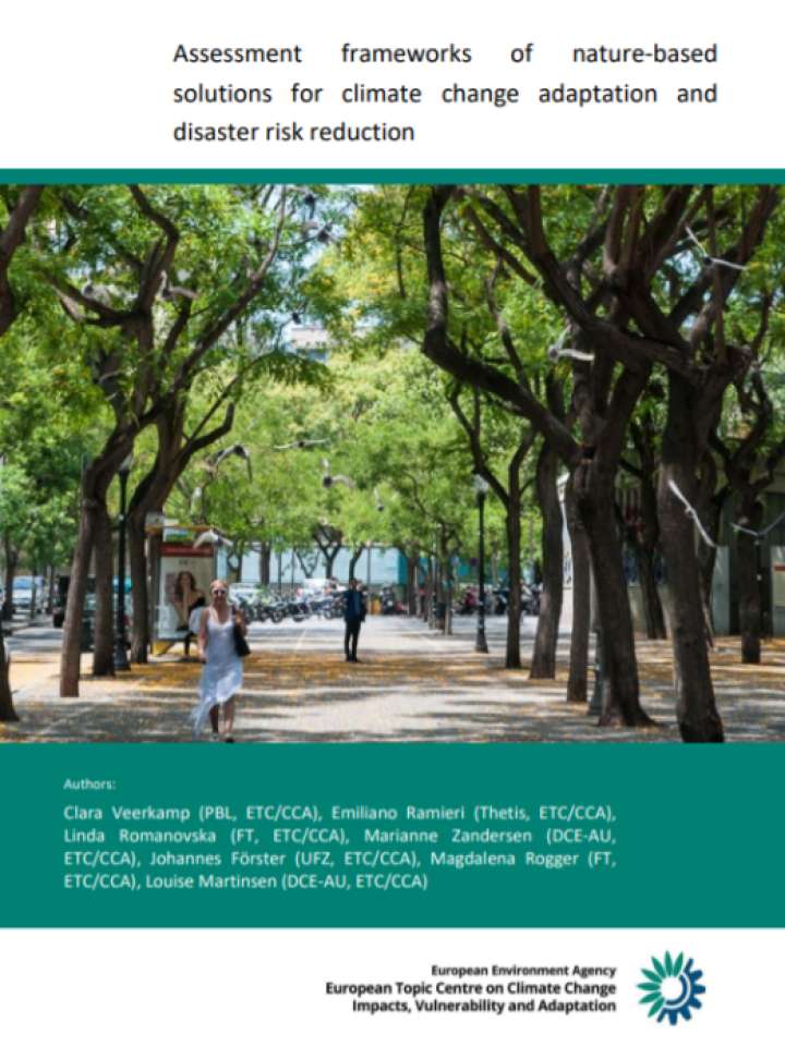 Cover and title of publication