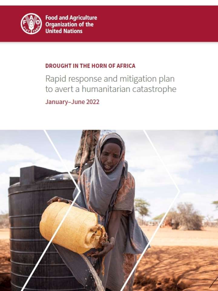 Drought in the Horn of Africa - Rapid response and mitigation plan to avert a humanitarian catastrophe