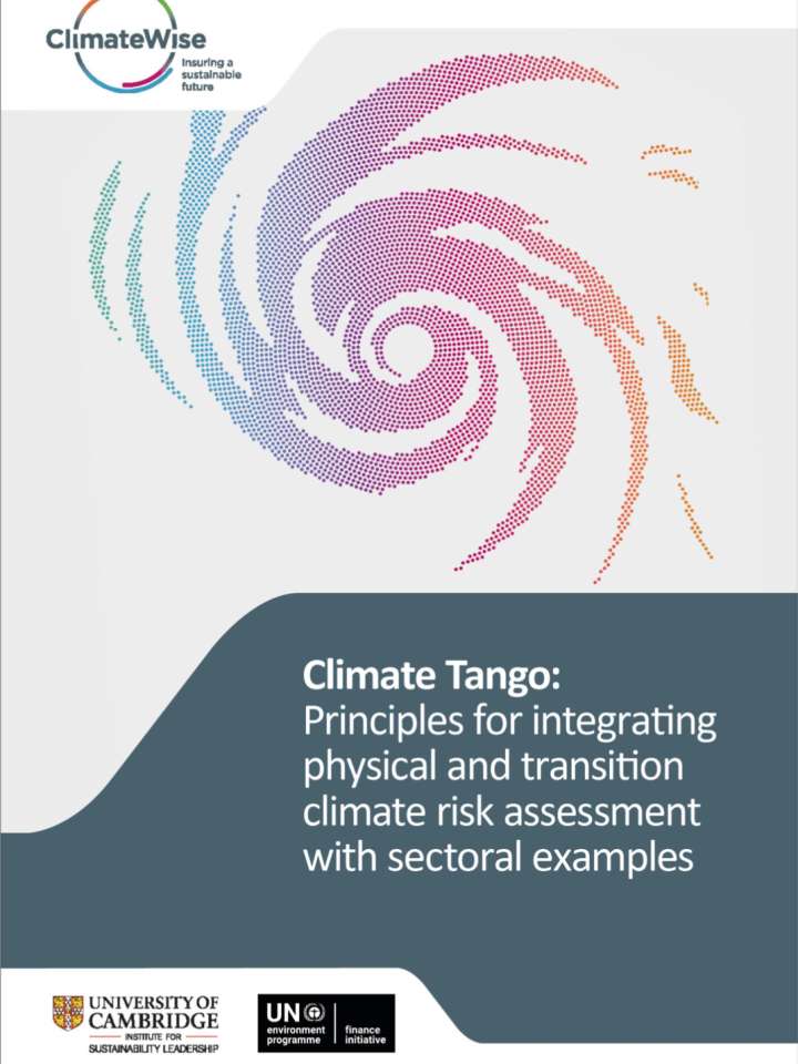 This is the cover of the publication.