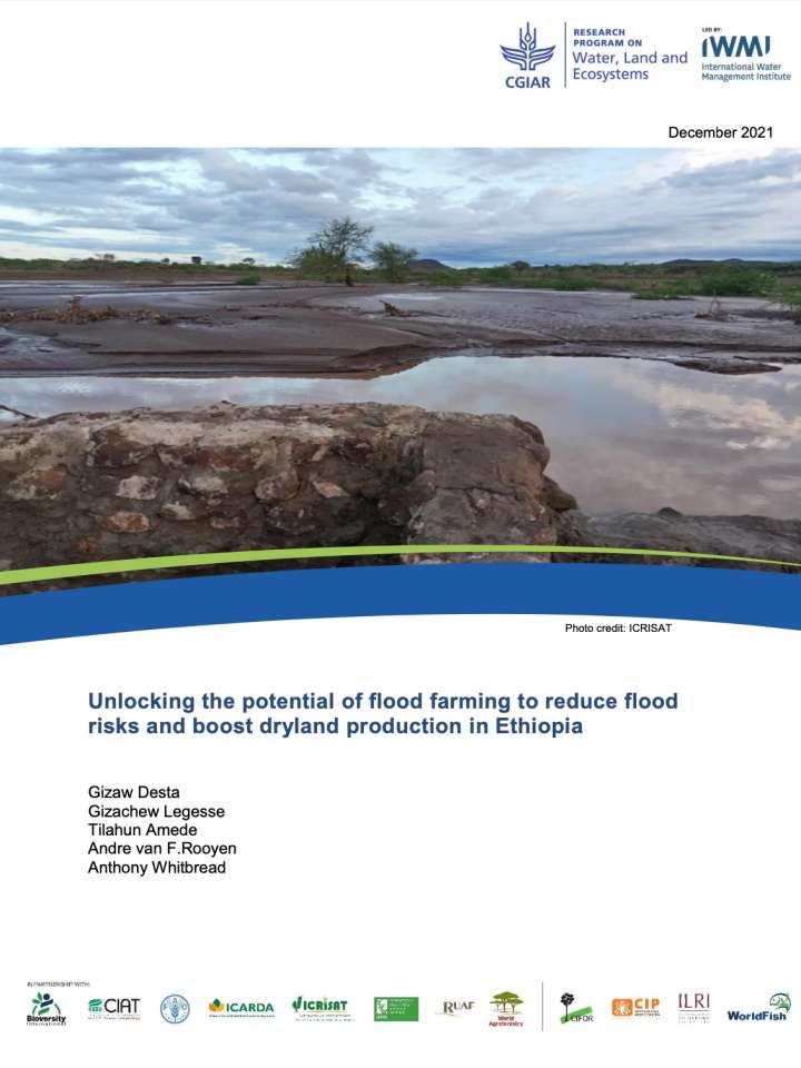This is the cover of the publication.