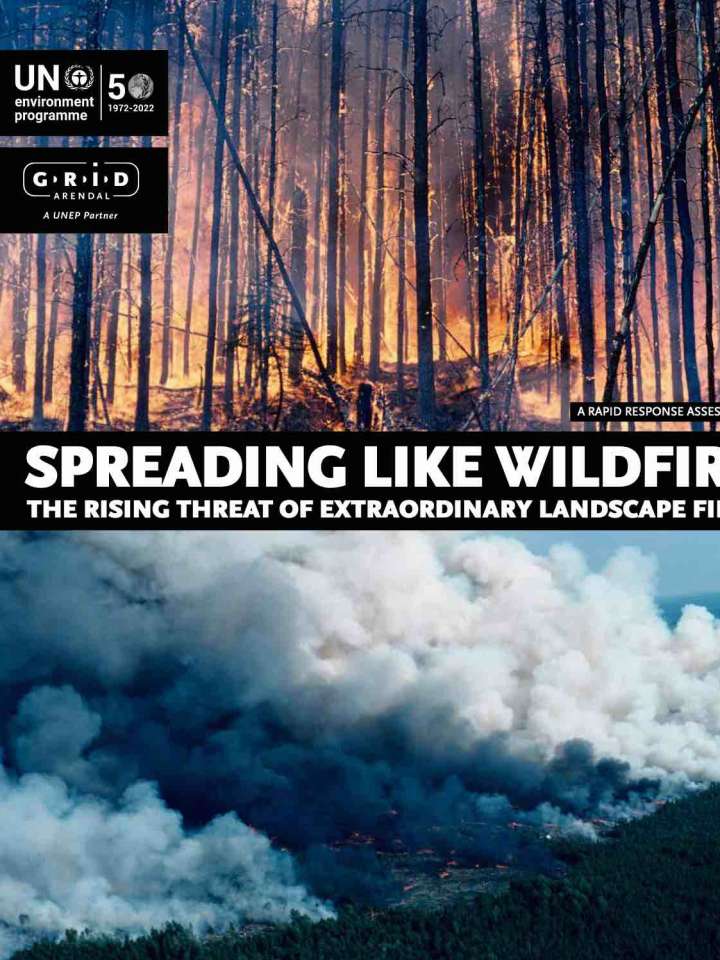 Cover of the UNEP report "Spreading like wildfire": flames in a forest and smoke over a valley