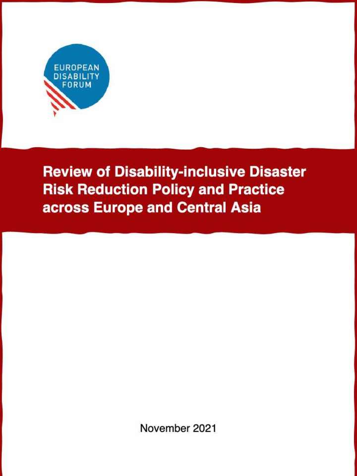 Cover of the DiDRR review