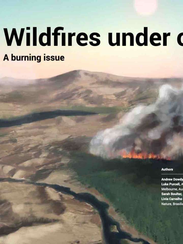 Cover: drawing of a wildfire