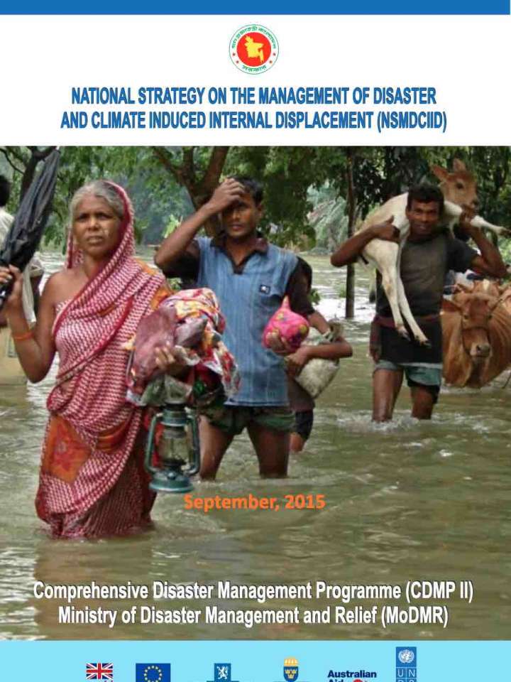 Cover of the strategy: people walking through the flood