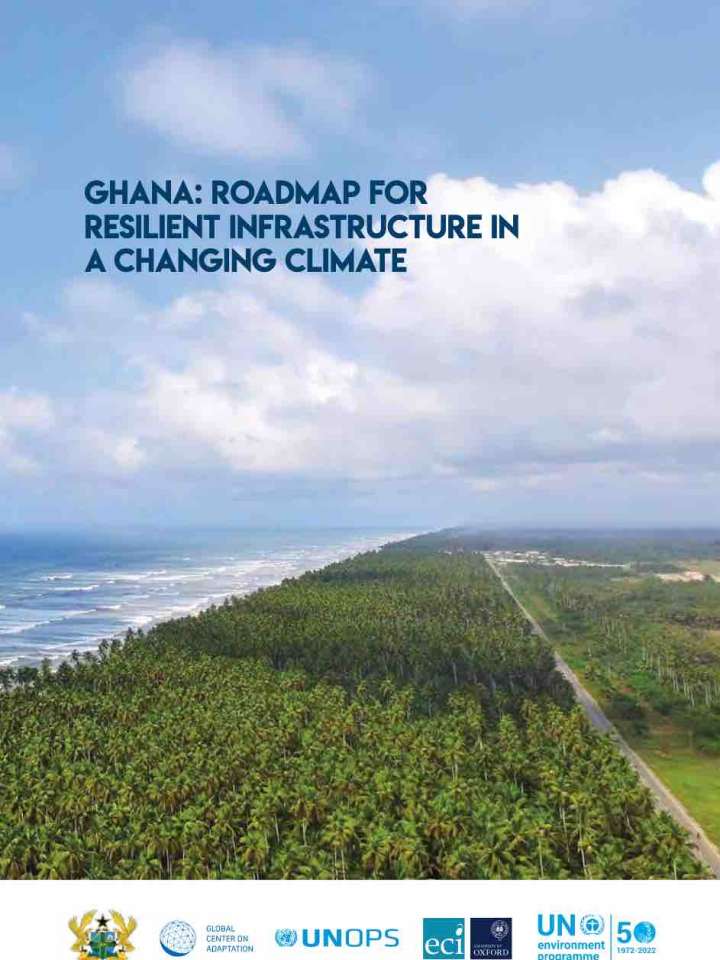 Cover of the Ghana roadmap: coastline with palm trees