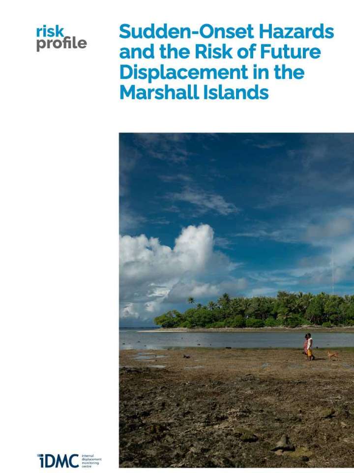 Cover of the IDMC report: people and a dog walking on a tropical coast