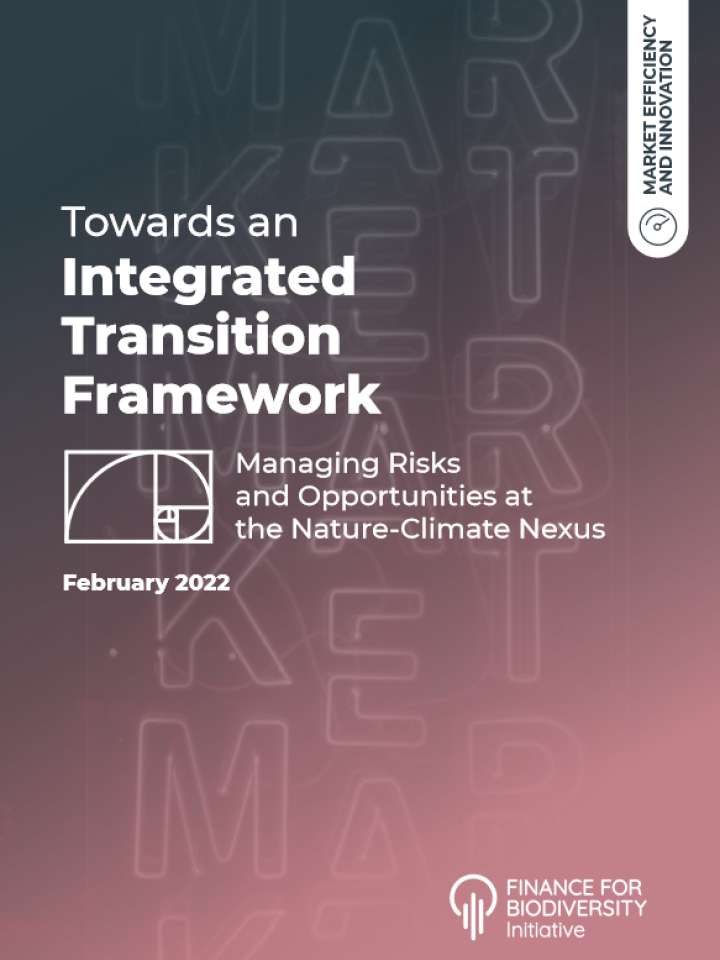Towards an Integrated Transition Framework: Managing Risks and Opportunities at the Nature-Climate Nexus