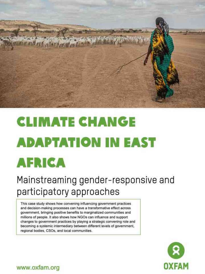 Cover of the report: woman herding goats in an arid landscape