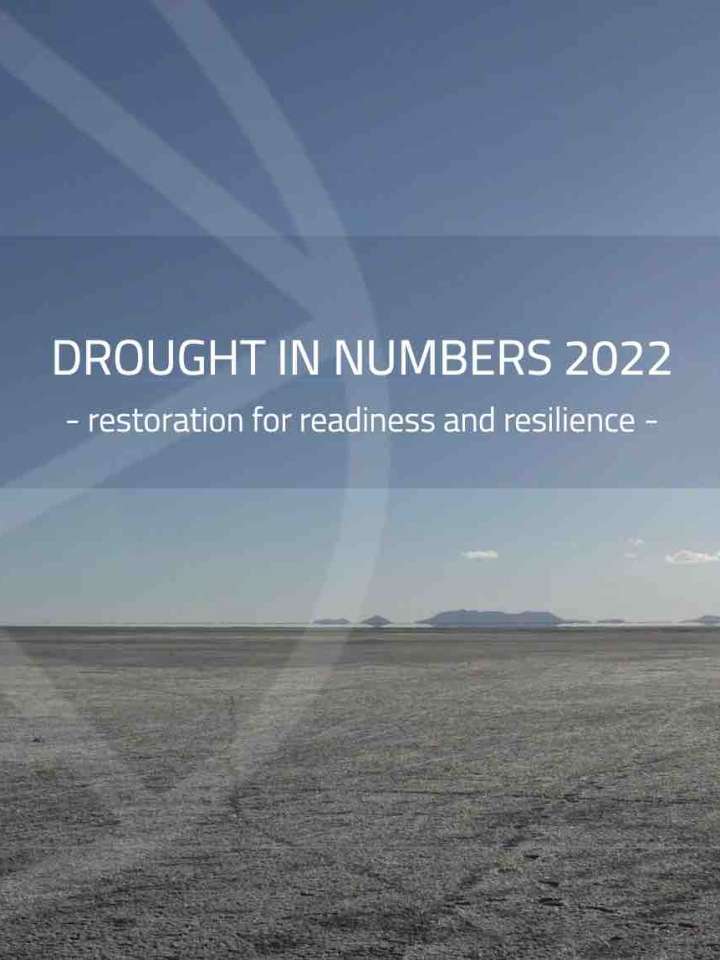 Cover of the UNCCD report: person in distance walking in a dry, flat landscape
