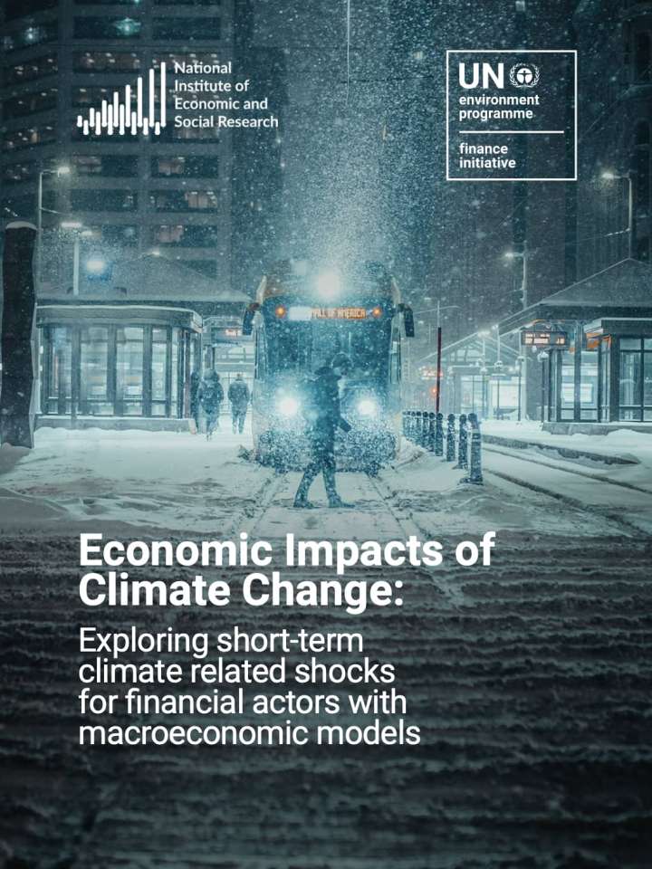 This image shows the first page of the publication.